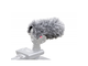 RYCOTE - 