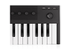 NATIVE INSTRUMENTS - Micro-sized Keyboard Controller