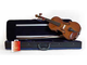 DOMUS - Violino 4/4 con custodia ed arco