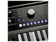 KORG - 