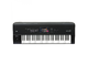 KORG - 