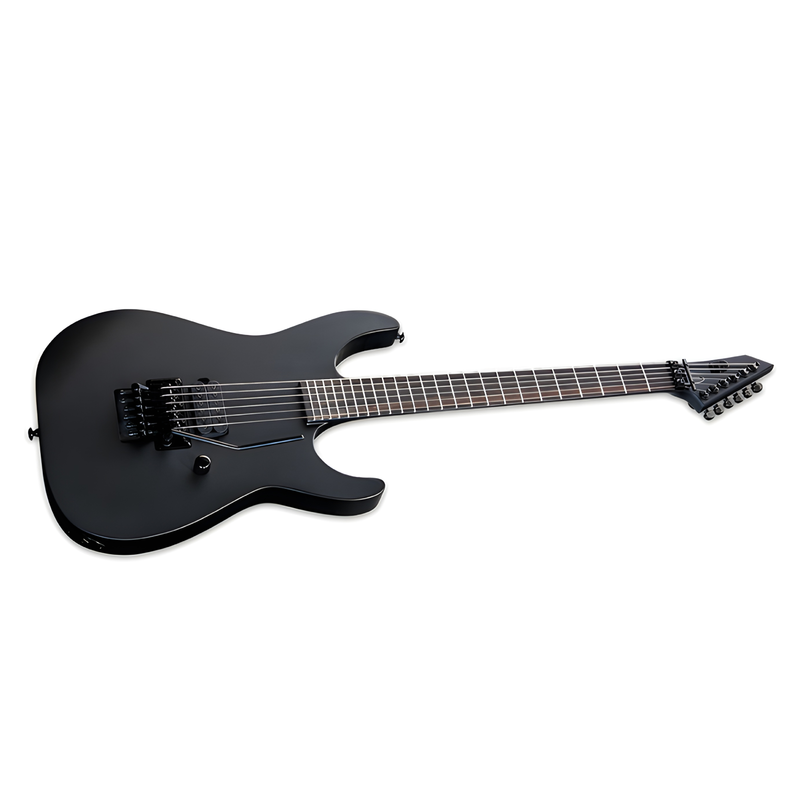 ESP LTD - 