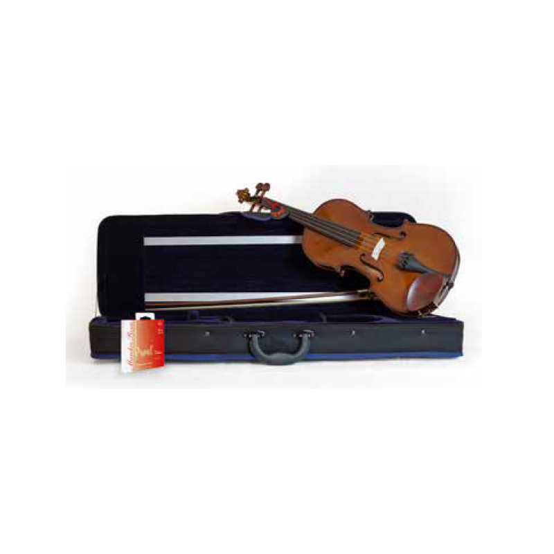 DOMUS - Violino 4/4 con custodia ed arco