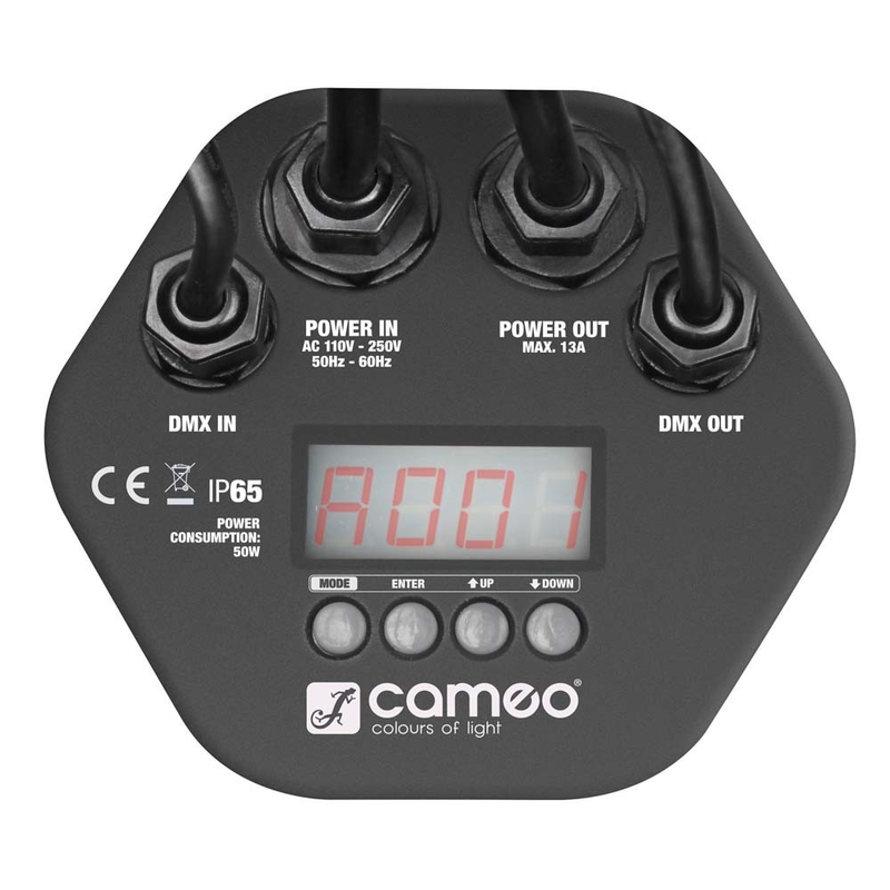 CAMEO - 